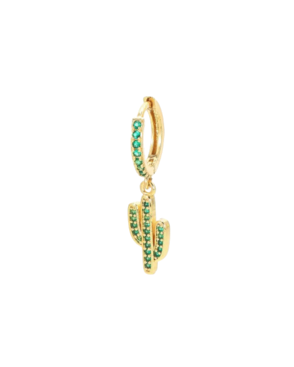 Cactus - Imagen 2